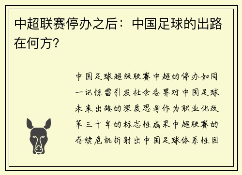 中超联赛停办之后：中国足球的出路在何方？