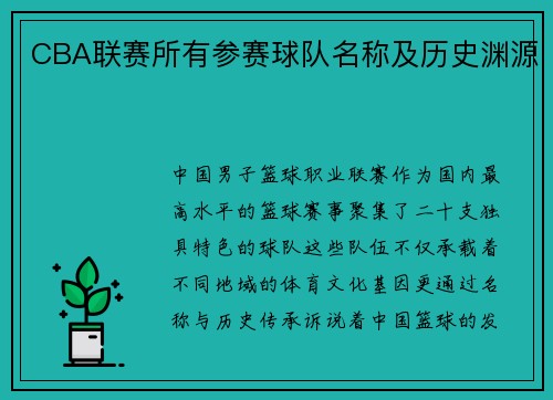 CBA联赛所有参赛球队名称及历史渊源